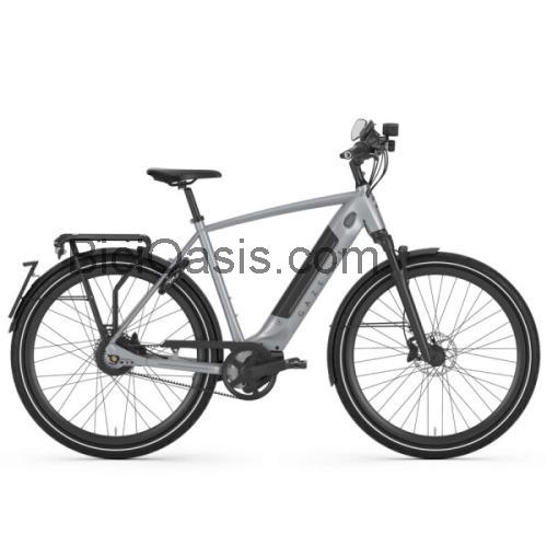 Gazelle Ultimate Speed 380 ficha técnica y opiniones